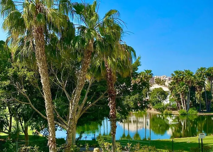 Inmobiliaria Leo Apto Hoyo 18 1